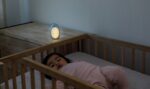 INFANTINO Lampka nocna 3 w 1 Foka, maskotka 302032 - obrazek 4