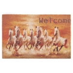 Wycieraczka pod drzwi WELCOME - KONIE 60 x 40 cm FG11398