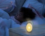 INFANTINO Lampka nocna 3 w 1 Foka, maskotka 302032 - obrazek 5