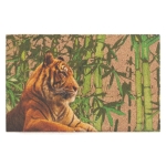 Wycieraczka pod drzwi TYGRYS 60 x 40 cm FG11411